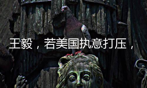 王毅，若美國執(zhí)意打壓，中國必將堅(jiān)定應(yīng)對(duì)到底