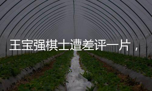王寶強棋士遭差評一片，業(yè)界熱議其表現(xiàn)