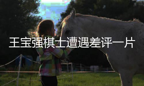 王寶強棋士遭遇差評一片，深度剖析其背后原因及影響