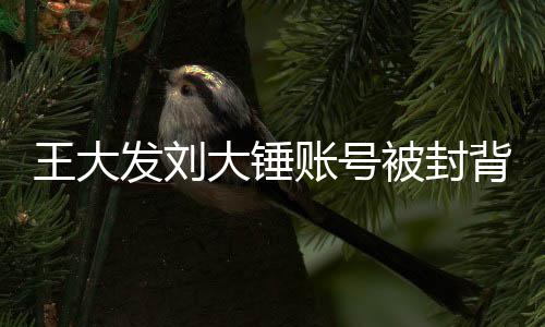 王大發(fā)劉大錘賬號(hào)被封背后的故事