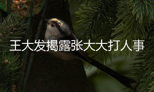 王大發(fā)揭露張大大打人事件，惡劣行為非首次