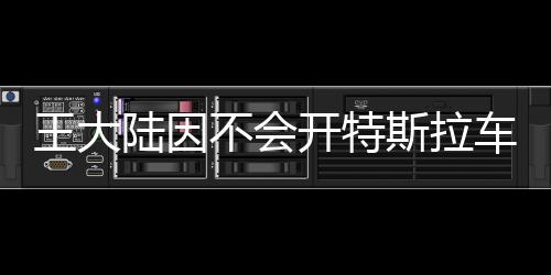 王大陸因不會(huì)開(kāi)特斯拉車門捶窗，引發(fā)社交媒體熱議
