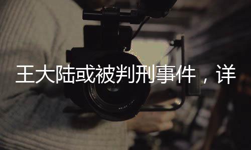 王大陸或被判刑事件，詳細(xì)解讀與多方關(guān)注