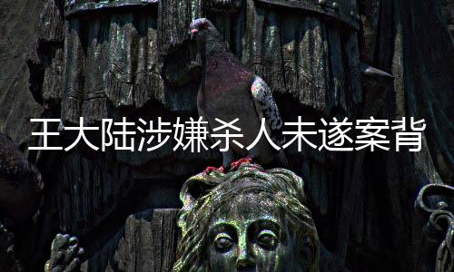 王大陸涉嫌殺人未遂案背后的真相——經紀人的回應揭秘