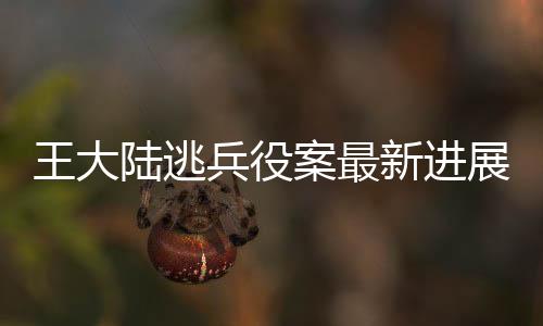 王大陸逃兵役案最新進(jìn)展，定罪最高判五年