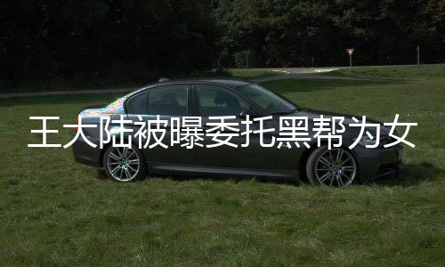 王大陸被曝委托黑幫為女友討債，事件內(nèi)幕揭秘