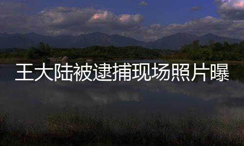 王大陸被逮捕現(xiàn)場照片曝光