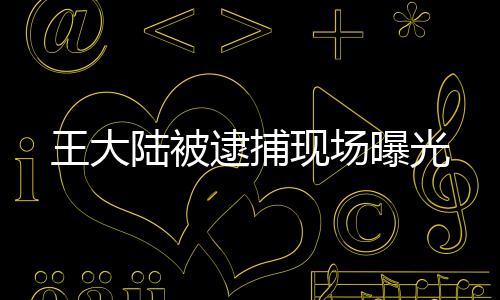 王大陸被逮捕現(xiàn)場曝光