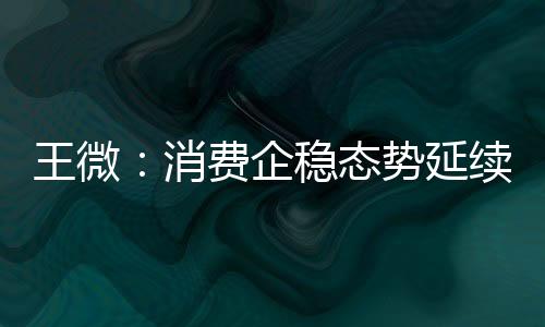 王微：消費企穩(wěn)態(tài)勢延續(xù) 向新勢頭不改