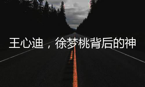 王心迪，徐夢(mèng)桃背后的神秘榜一大哥揭秘