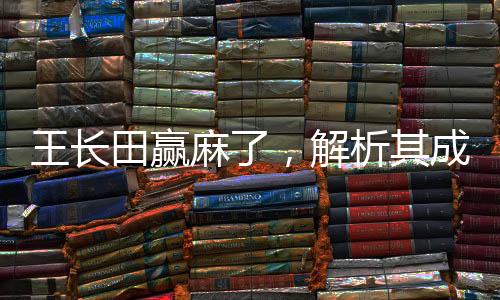 王長(zhǎng)田贏麻了，解析其成功背后的九大驅(qū)動(dòng)力