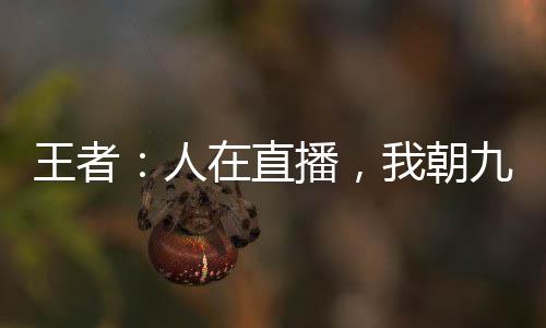 王者：人在直播，我朝九晚五！
