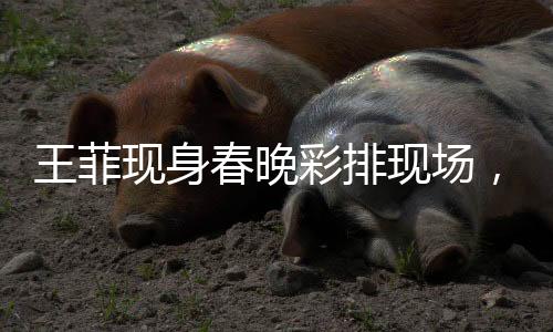 王菲現(xiàn)身春晚彩排現(xiàn)場，全民矚目焦點(diǎn)