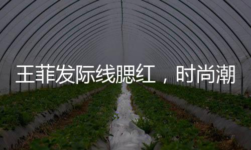王菲發(fā)際線腮紅，時(shí)尚潮流的新焦點(diǎn)