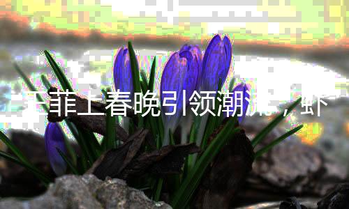 王菲上春晚引領(lǐng)潮流，蝦片耳環(huán)引爆熱點(diǎn)——商家回應(yīng)