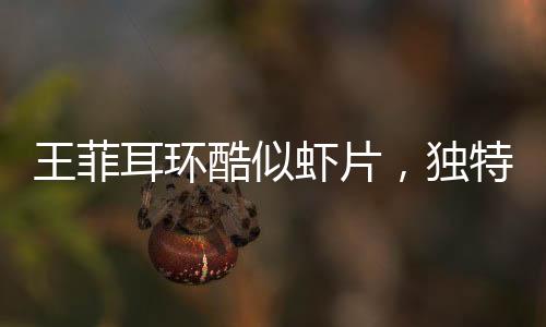 王菲耳環(huán)酷似蝦片，獨特時尚引領潮流