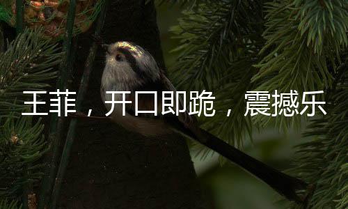 王菲，開口即跪，震撼樂壇的傳奇之聲