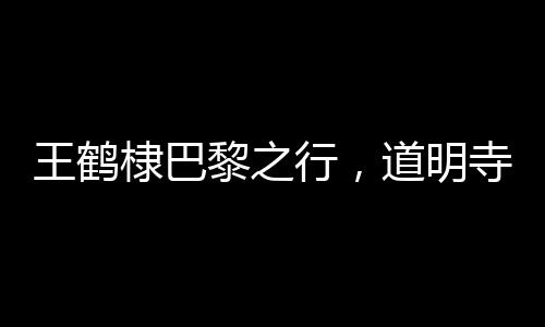 王鶴棣巴黎之行，道明寺風格的時尚演繹