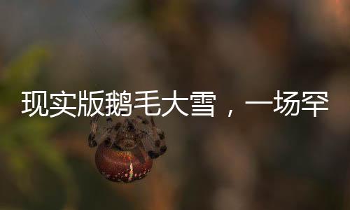 現(xiàn)實(shí)版鵝毛大雪，一場(chǎng)罕見(jiàn)的冬日盛景