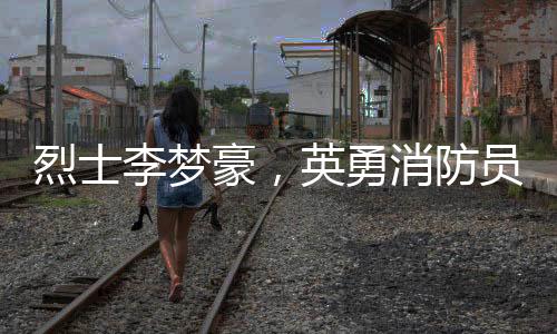 烈士李夢(mèng)豪，英勇消防員的生命贊歌