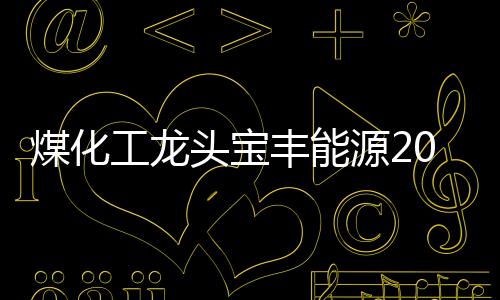 煤化工龍頭寶豐能源2024扣非凈利67.8億，增長13.97%