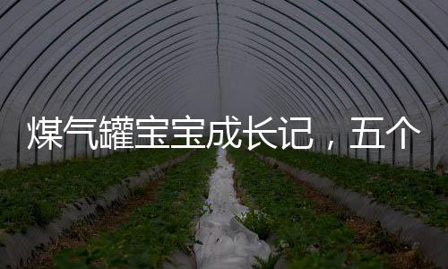 煤氣罐寶寶成長(zhǎng)記，五個(gè)月成長(zhǎng)驚人