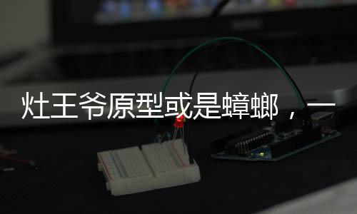 灶王爺原型或是蟑螂，一種文化與科學的有趣交匯