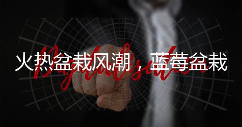 火熱盆栽風潮，藍莓盆栽成為新晉綠色時尚
