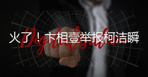 火了！卞相壹舉報柯潔瞬間成表情包