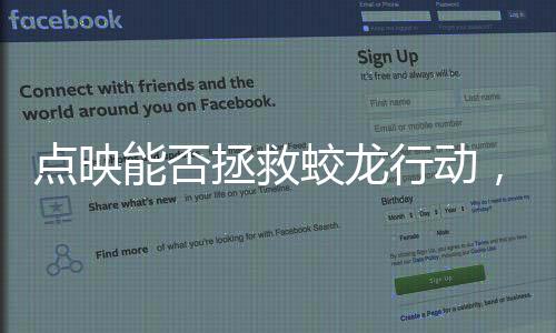 點映能否拯救蛟龍行動，深度解析與前瞻