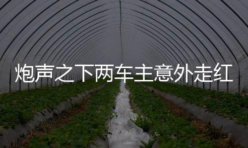 炮聲之下兩車主意外走紅，漲粉逾二十萬(wàn)背后的故事