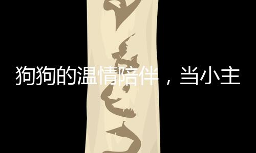 狗狗的溫情陪伴，當(dāng)小主人踏上歸途，狗狗主動(dòng)趴下做腳墊子