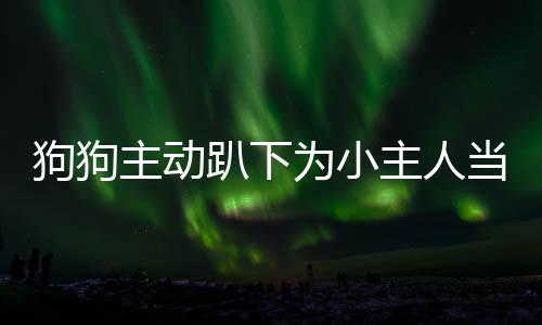 狗狗主動(dòng)趴下為小主人當(dāng)腳墊子，展現(xiàn)忠誠與陪伴的力量