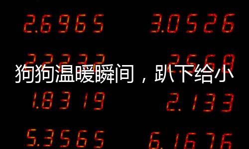 狗狗溫暖瞬間，趴下給小主人當(dāng)腳墊子的感人畫面