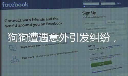 狗狗遭遇意外引發(fā)糾紛，主人訓(xùn)斥鄰居并引起關(guān)注