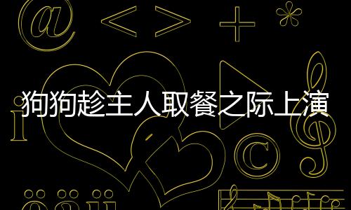 狗狗趁主人取餐之際上演大口偷吃秀
