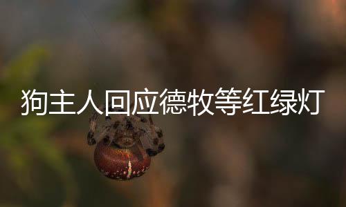 狗主人回應(yīng)德牧等紅綠燈時(shí)突然跳車事件