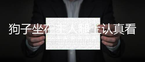狗子坐在主人腿上認(rèn)真看電視，一人一犬共享的溫馨時光