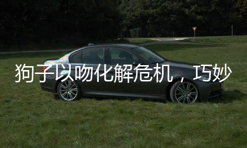 狗子以吻化解危機(jī)，巧妙應(yīng)對(duì)挨揍危機(jī)