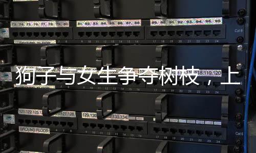 狗子與女生爭奪樹枝，上演機(jī)智躲腿記