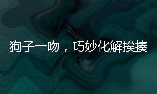 狗子一吻，巧妙化解挨揍危機