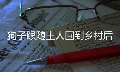 狗子跟隨主人回到鄉(xiāng)村后的種種歸家情懷