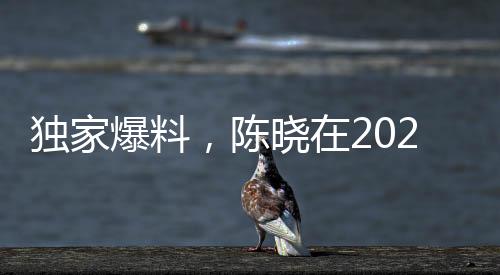 獨(dú)家爆料，陳曉在2023年曾提出凈身出戶