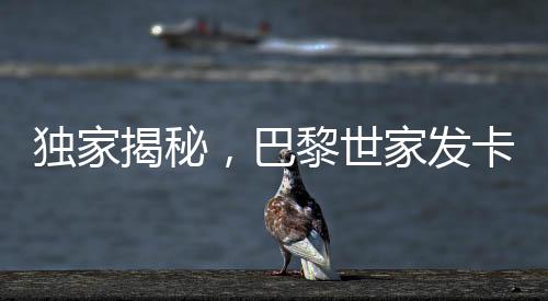 獨家揭秘，巴黎世家發(fā)卡背后的故事，價格飆升至2700元背后的真相