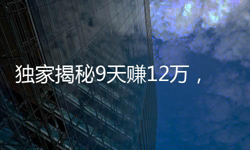 獨家揭秘9天賺12萬，小白跑步入場小游戲，一場輕松賺錢的盛宴正式開啟！