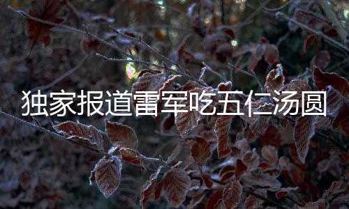 獨(dú)家報(bào)道雷軍吃五仁湯圓破防，深度解析背后故事與影響