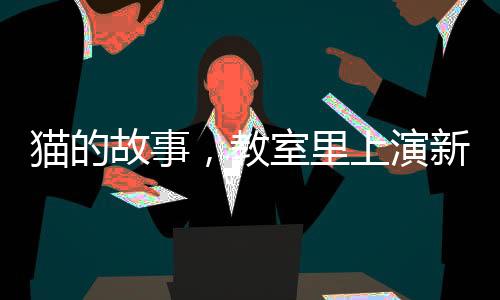 貓的故事，教室里上演新生命的誕生，學(xué)生的抽屜成為新生命的起點(diǎn)