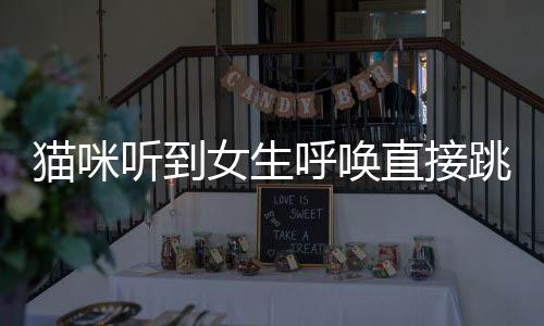 貓咪聽(tīng)到女生呼喚直接跳到車上，一場(chǎng)奇妙的相遇與溫馨的故事