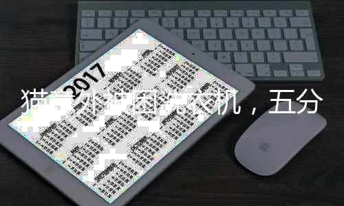 貓意外被困洗衣機，五分鐘的洗禮引發(fā)關(guān)注