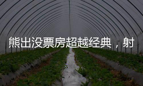 熊出沒(méi)票房超越經(jīng)典，射雕英雄傳面臨的挑戰(zhàn)與思考